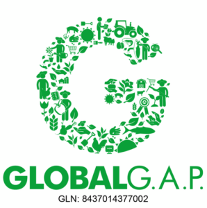 GLOBALGGN (1)